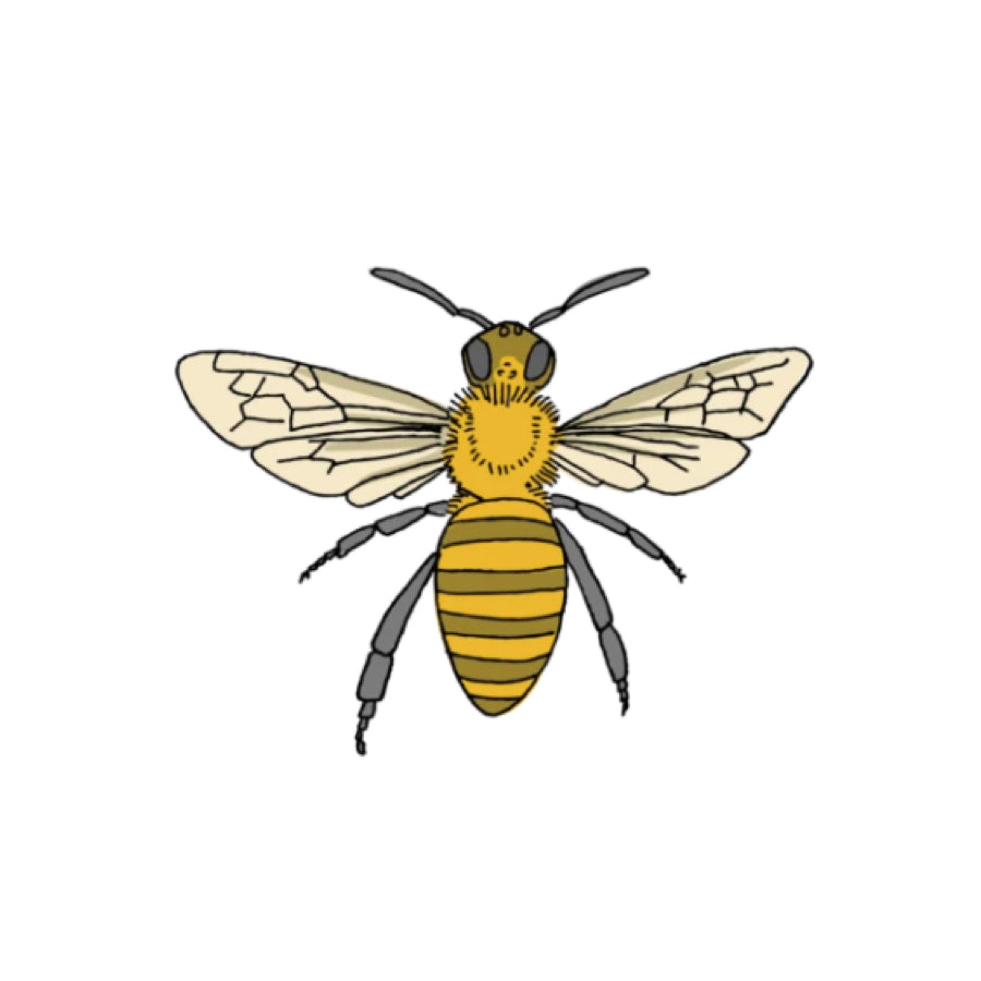 Honey Bee Tattoo Pair